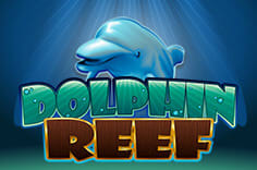 Dolphin Reef
